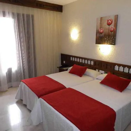 Sercotel Alfonso Vi Hotel 4*