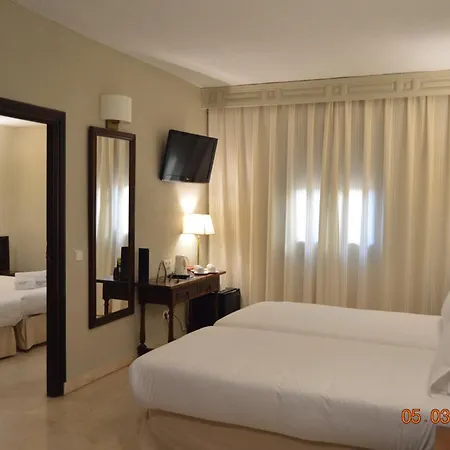 Sercotel Alfonso Vi Hotel 4*