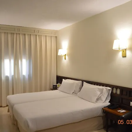 Sercotel Alfonso Vi Hotel Toledo