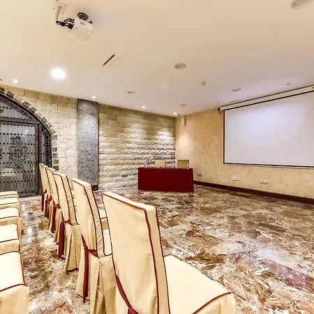 Hotel Sercotel Alfonso Vi 4*